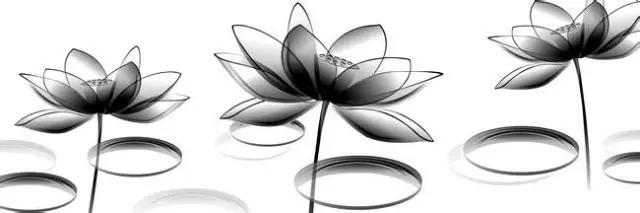 贞操价值观,论礼义廉耻