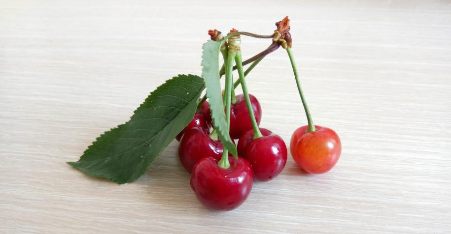 乐2发布会完整版,乐2截图大全