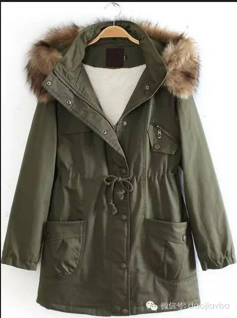 AllaboutCanadaGoose关于加拿大鹅的