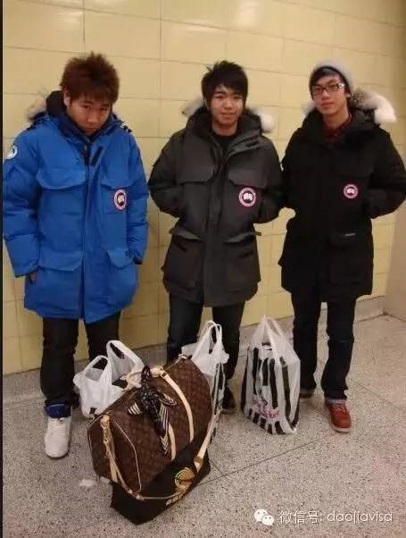 AllaboutCanadaGoose关于加拿大鹅的