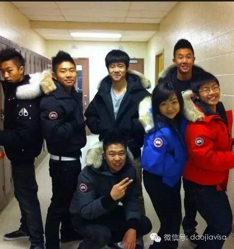 AllaboutCanadaGoose关于加拿大鹅的