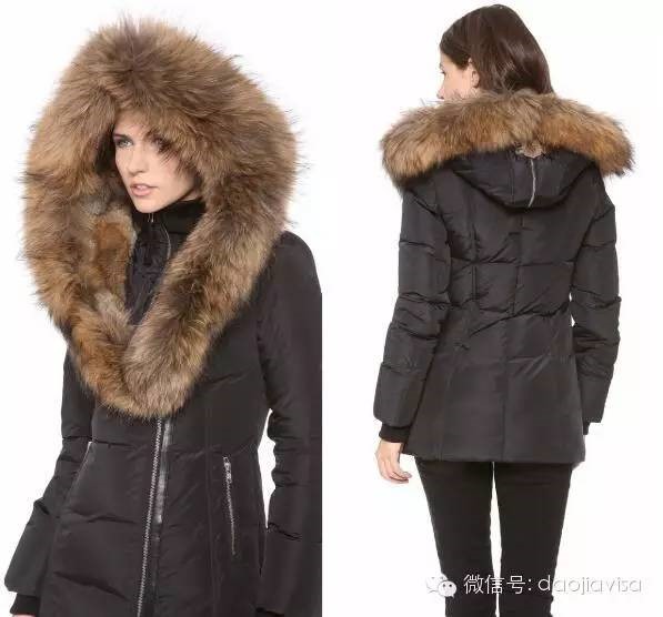 AllaboutCanadaGoose关于加拿大鹅的