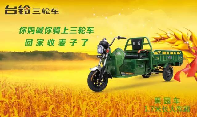 台铃电动休闲三轮车质量怎么样,台铃三轮车全部价格报价表