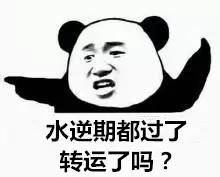 猴年马月有多可怕,猴年马月到底有多可怕