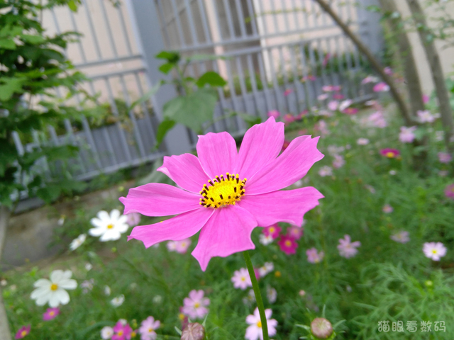 联想zukz2值不值得入手,联想zukz2屏幕多少寸