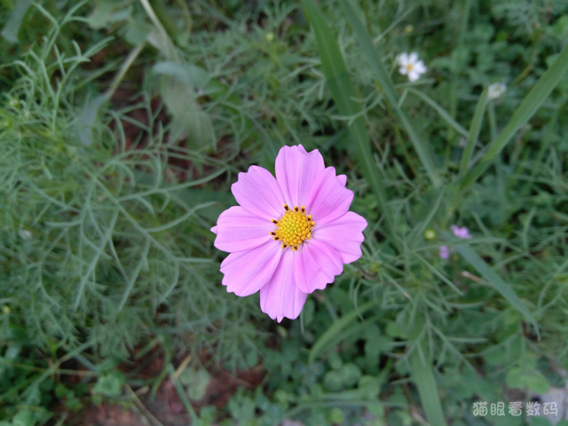 联想zukz2值不值得入手,联想zukz2屏幕多少寸