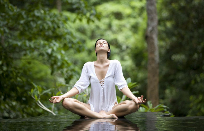 陈景润经络,中医陈景润