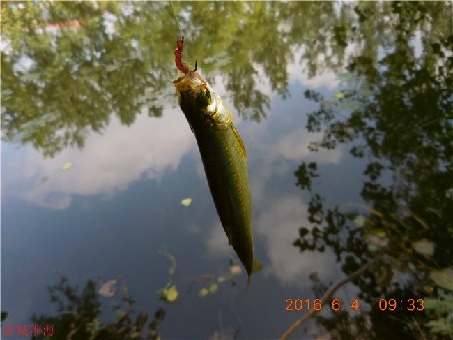 徐州钓鱼地方推荐野钓,徐州野钓地点推荐云龙