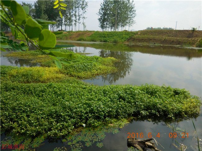 徐州钓鱼地方推荐野钓,徐州野钓地点推荐云龙