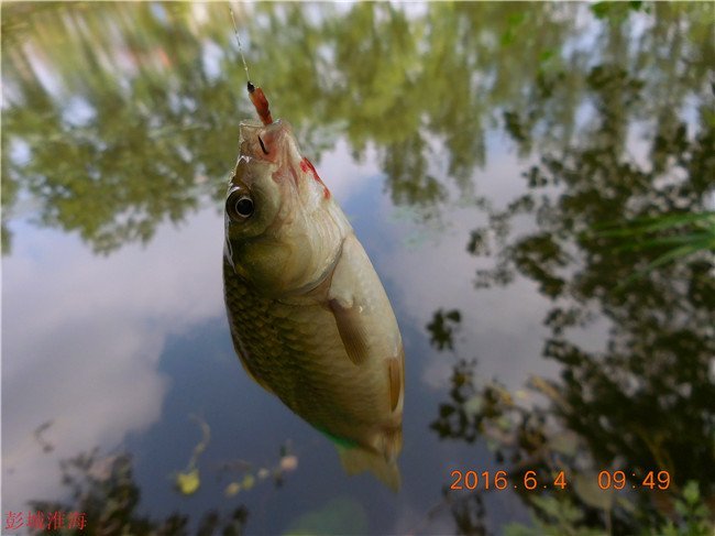 徐州钓鱼地方推荐野钓,徐州野钓地点推荐云龙