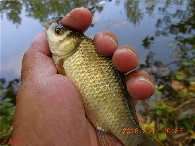徐州钓鱼地方推荐野钓,徐州野钓地点推荐云龙