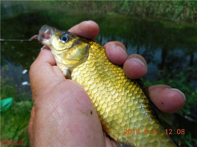徐州钓鱼地方推荐野钓,徐州野钓地点推荐云龙