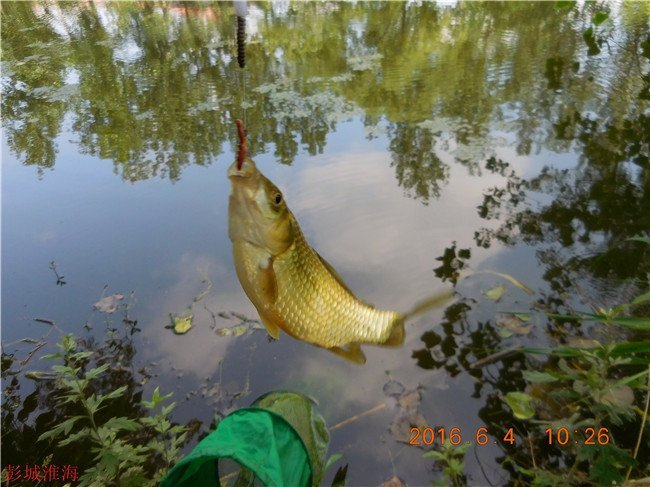 徐州钓鱼地方推荐野钓,徐州野钓地点推荐云龙