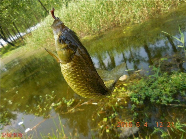 徐州钓鱼地方推荐野钓,徐州野钓地点推荐云龙