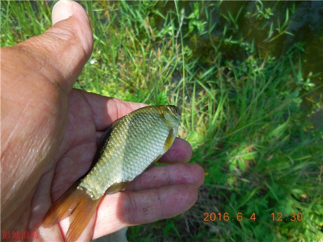 徐州钓鱼地方推荐野钓,徐州野钓地点推荐云龙