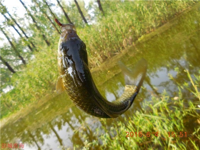 徐州钓鱼地方推荐野钓,徐州野钓地点推荐云龙