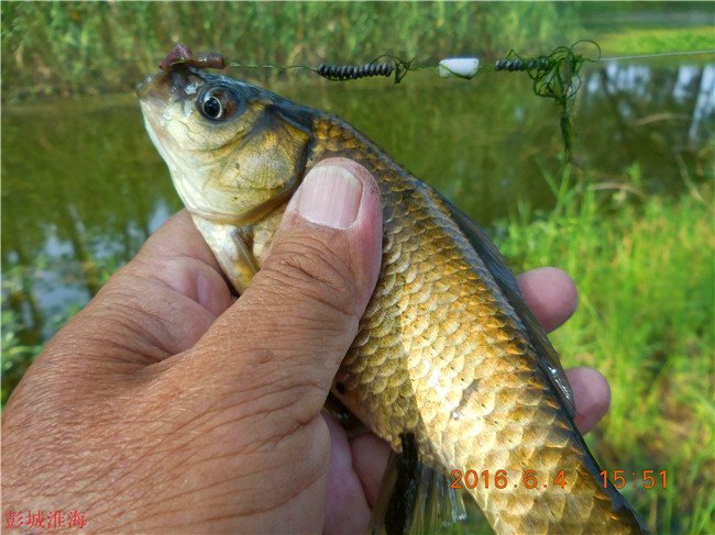 徐州钓鱼地方推荐野钓,徐州野钓地点推荐云龙