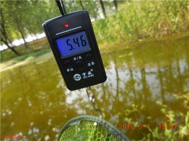 徐州钓鱼地方推荐野钓,徐州野钓地点推荐云龙