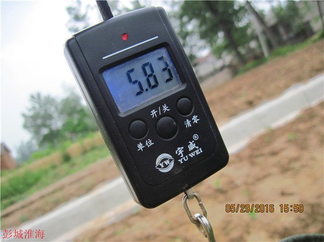 徐州钓鱼地方推荐野钓,徐州野钓地点推荐云龙