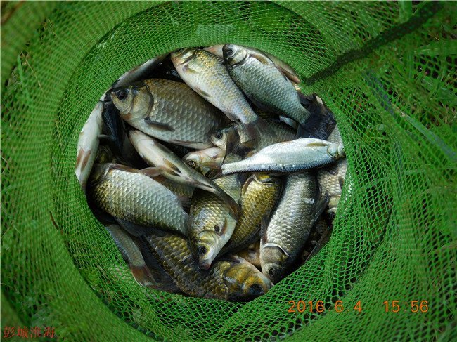 徐州钓鱼地方推荐野钓,徐州野钓地点推荐云龙