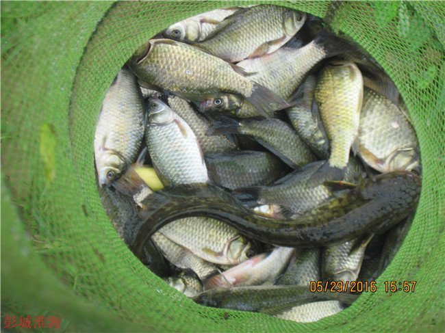 徐州钓鱼地方推荐野钓,徐州野钓地点推荐云龙