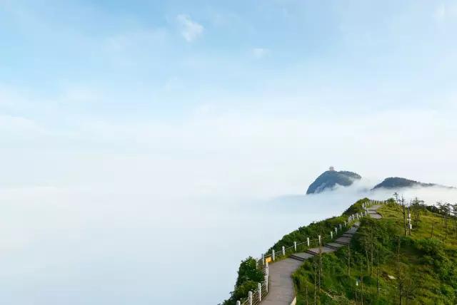 猴年马月开始了,别忘了峨眉山景区属猴免费!