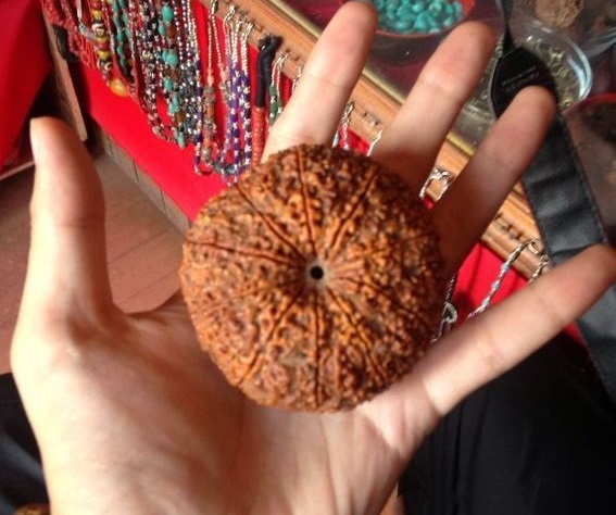 十大奇特菩提子,超级丑菩提手串