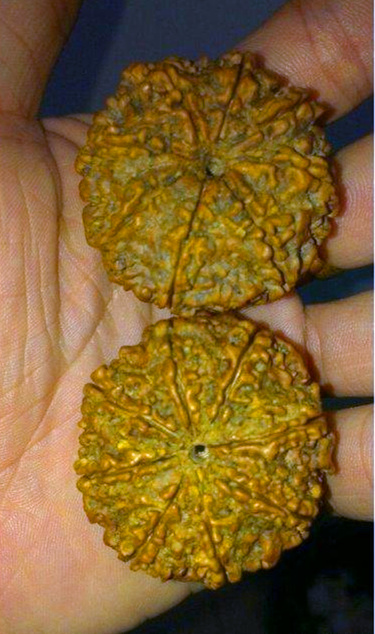 十大奇特菩提子,超级丑菩提手串