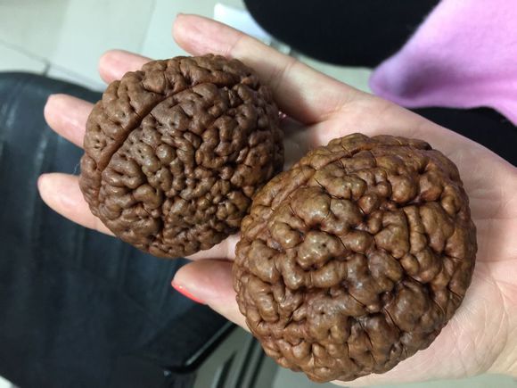 十大奇特菩提子,超级丑菩提手串