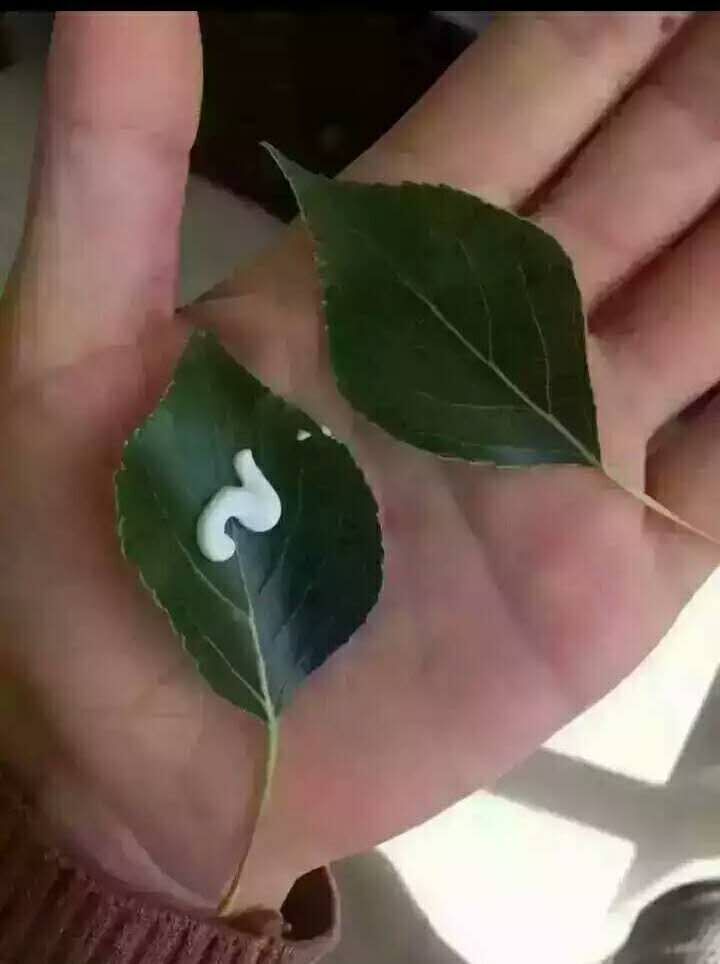 为啥一用防晒霜皮肤就变黑,一用防晒霜就过敏什么原因