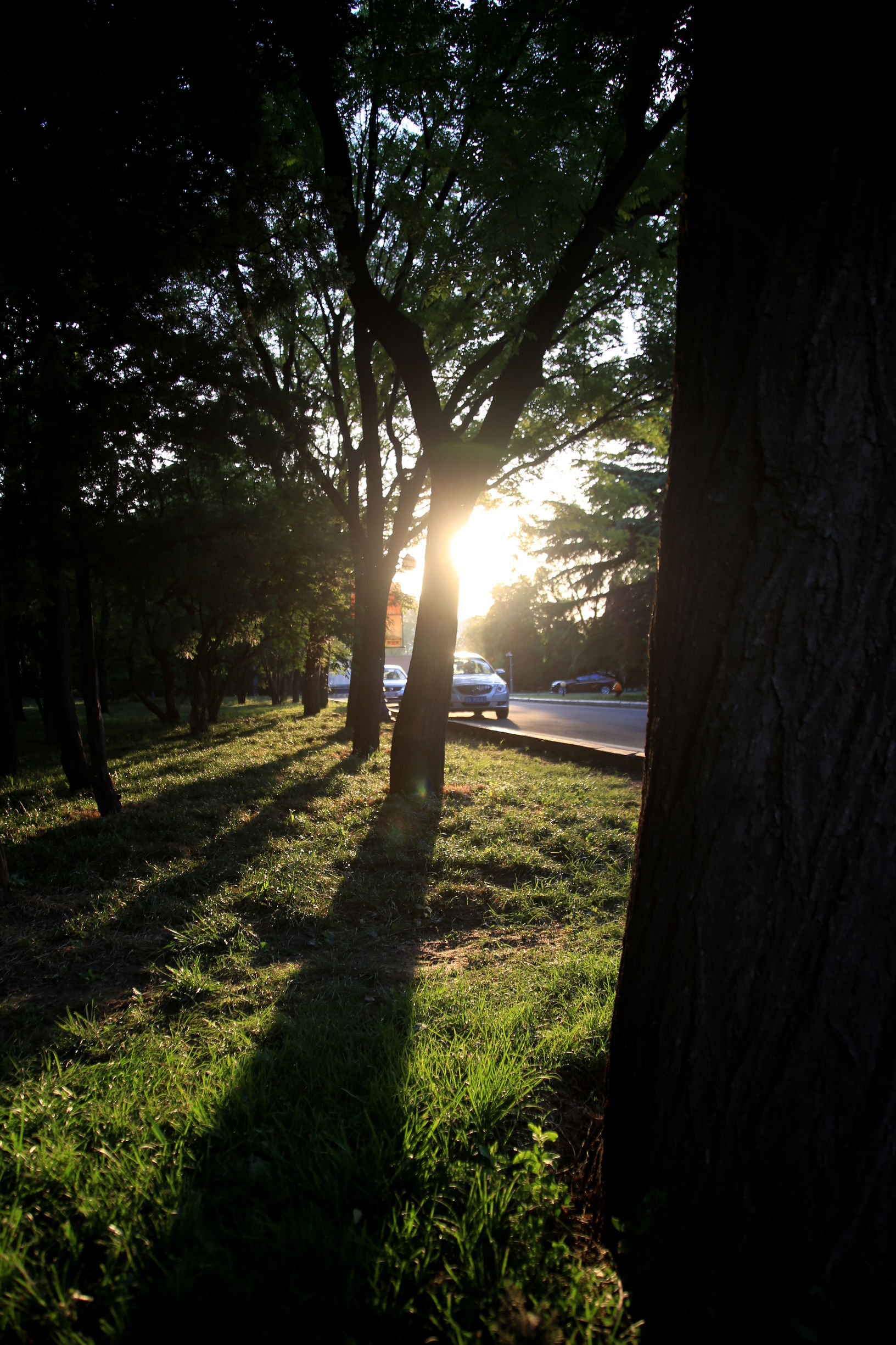 南郊宾馆的风景,南郊宾馆夜景