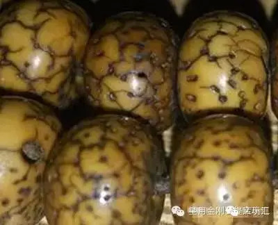 盘点星月菩提的十大问题建议收藏,星月菩提哪种可以玩得最长久