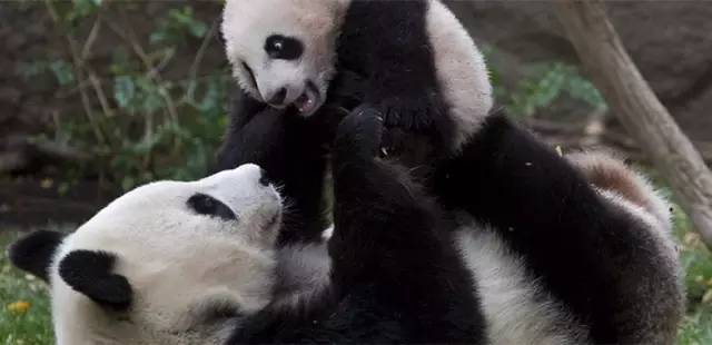 1号公路沿途一路美景,1号公路的魅力