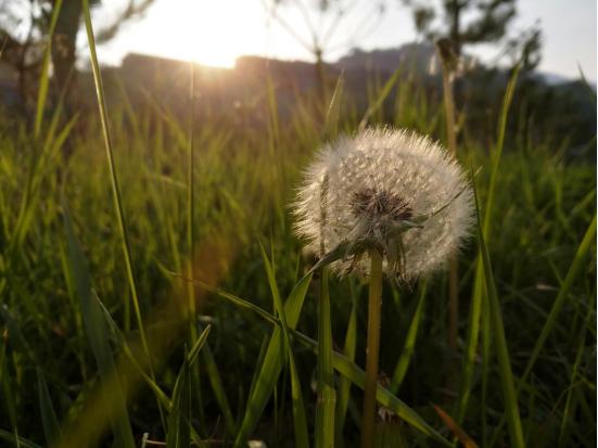 荣耀V8到底怎么样,荣耀v8全方位测评