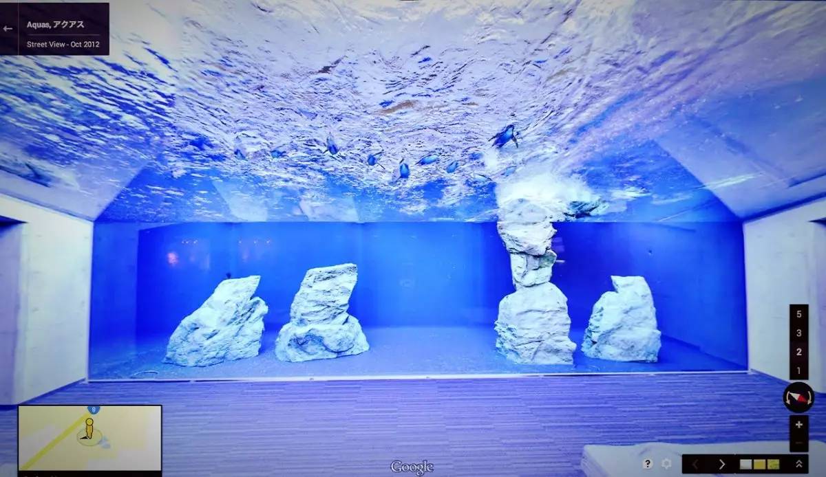 google街景怎么弄,google街景怎么看