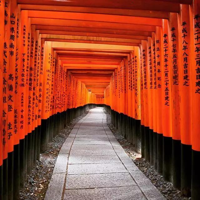 浼忚绋昏嵎澶хぞ鎬庝箞绁堢,鏃ユ湰浼忚绋昏嵎澶хぞ浠嬬粛