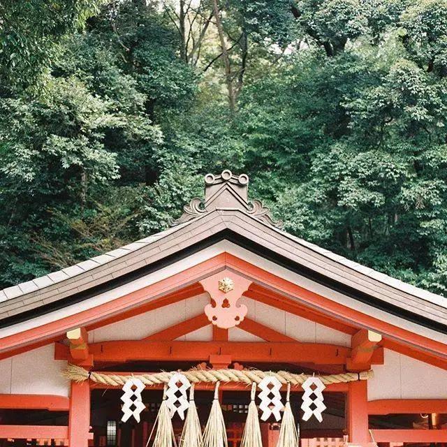 浼忚绋昏嵎澶хぞ鎬庝箞绁堢,鏃ユ湰浼忚绋昏嵎澶хぞ浠嬬粛