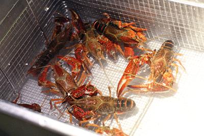 鹅卵石烤鱼北京,北京石头烤鱼