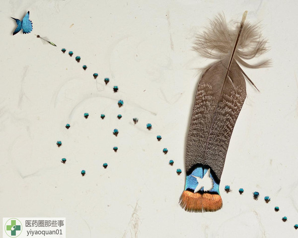 拒绝大数据，你的药企可能会失去未来