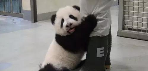 微博和微信发不同朋友圈,微博和微信朋友圈有什么区别