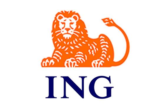 留学生荷兰银行开户条件,荷兰留学visa卡哪个银行的好