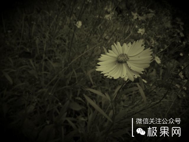 翻转吧摄像头,前后都能照出完美的照片:荣耀7i体验