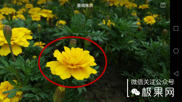 翻转吧摄像头,前后都能照出完美的照片:荣耀7i体验