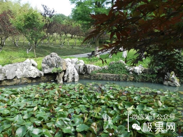 翻转吧摄像头,前后都能照出完美的照片:荣耀7i体验