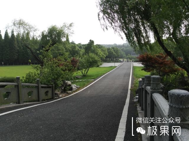 翻转吧摄像头,前后都能照出完美的照片:荣耀7i体验