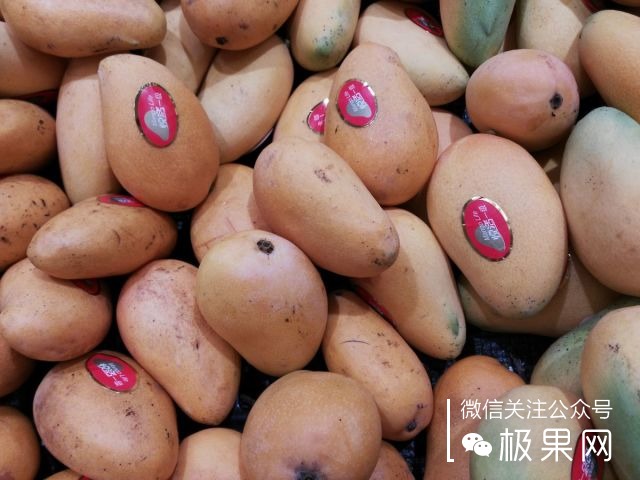 翻转吧摄像头,前后都能照出完美的照片:荣耀7i体验