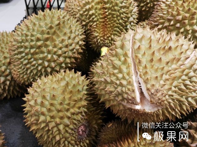 翻转吧摄像头,前后都能照出完美的照片:荣耀7i体验