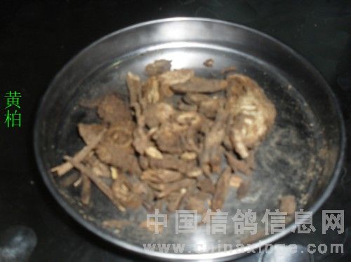 治毛滴虫粉剂,什么中草药可以治毛滴虫