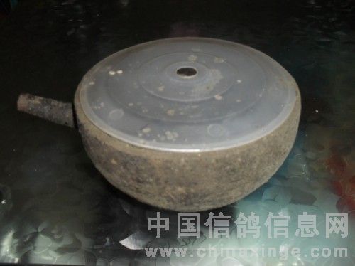 治毛滴虫粉剂,什么中草药可以治毛滴虫