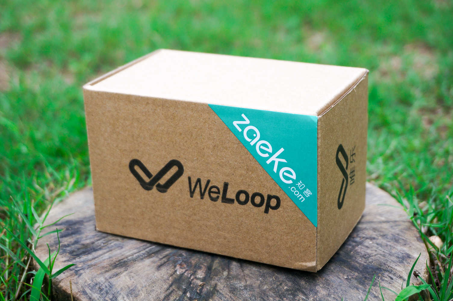 小而强大抖音,小而强大陕西